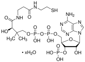 UEC4282： 辅酶 A 水合物 85-61-0